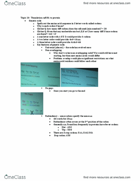 Biochemistry 2280A Lecture Notes - Lecture 20: Chloramphenicol, Eth, Streptomycin thumbnail