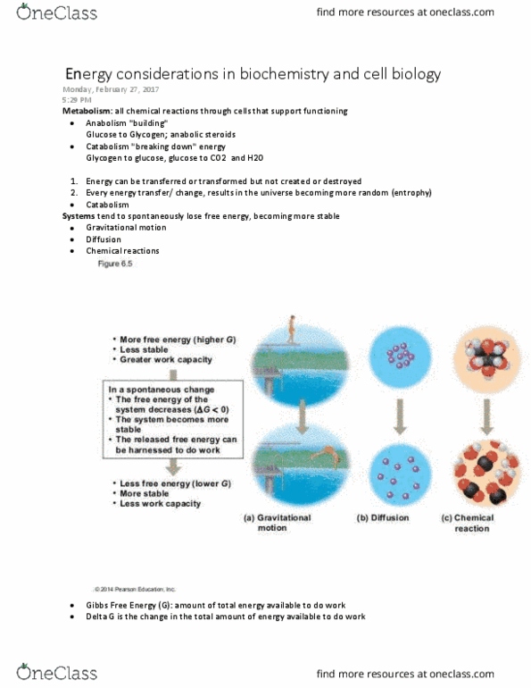 BIOL 111 Lecture Notes - Lecture 13: Methanol, Phosphorylation, Adenosine Triphosphate thumbnail