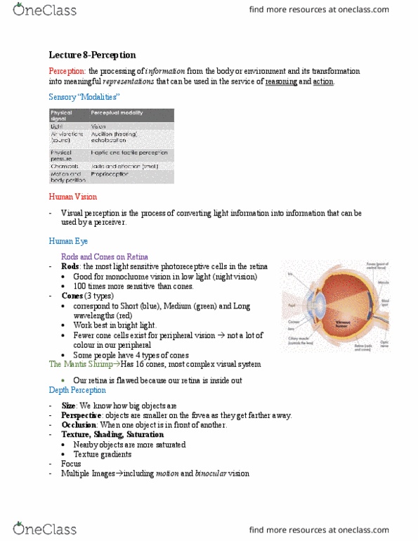 CGSC 1001 Lecture Notes - Lecture 8: Ok Go, Avocado, Proprioception thumbnail