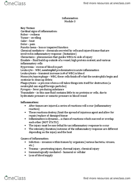 Pathology 2420A Lecture Notes - Lecture 3: Common Cold, Keloid, Angiogenesis thumbnail