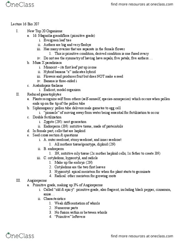 BIOLOGY 207 Lecture Notes - Lecture 16: Anise, Fibrous Root System, Symmetry In Biology thumbnail