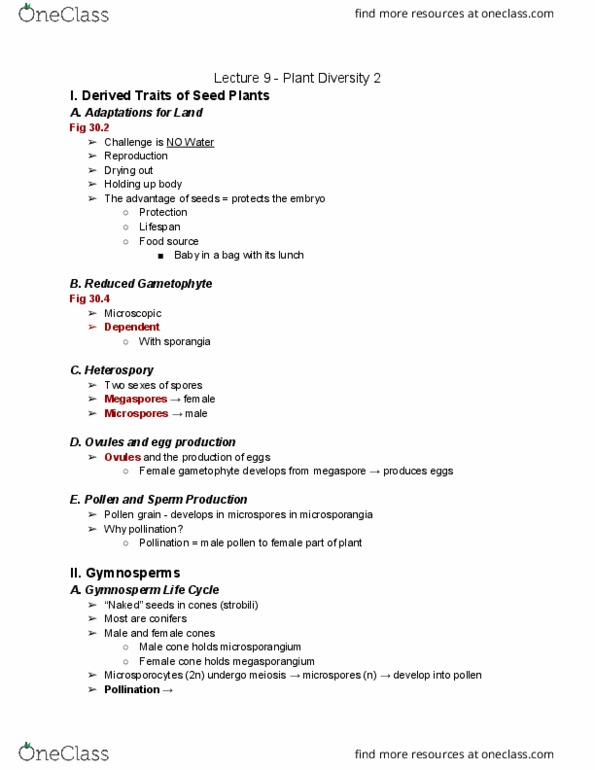 01:119:116 Lecture Notes - Lecture 9: Zygote, Endosperm, Double Fertilization thumbnail