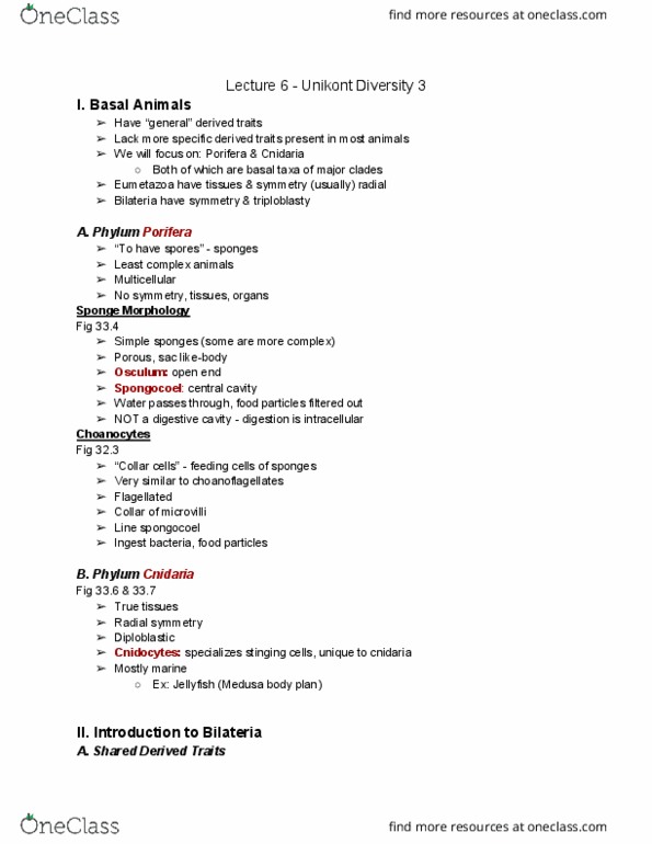 01:119:116 Lecture Notes - Lecture 6: Animal, Trichinosis, Gastrointestinal Tract thumbnail