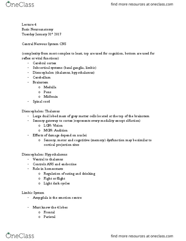 PSYC 3265 Lecture Notes - Lecture 4: Cortical Blindness, Outline Of Object Recognition, Basal Ganglia thumbnail