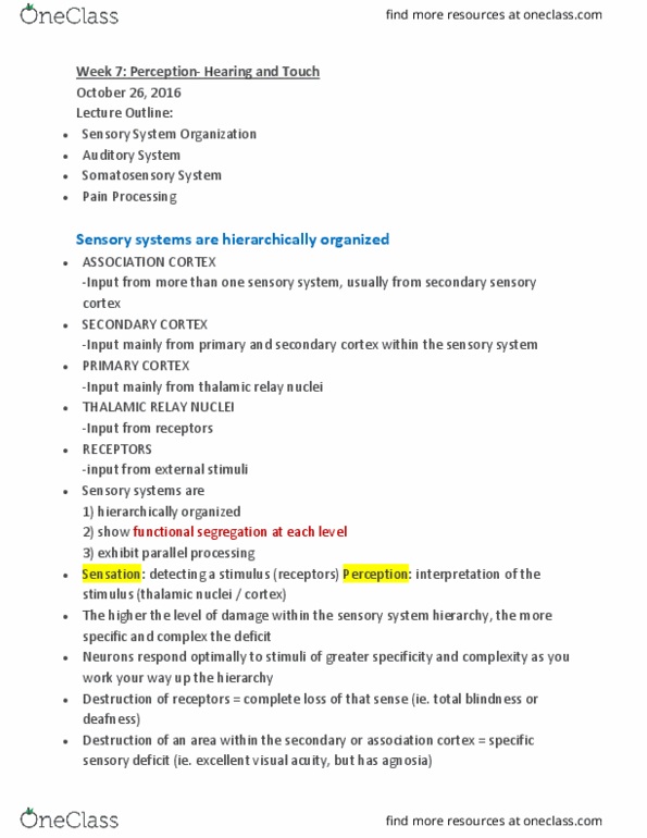 PSYC 271 Lecture Notes - Lecture 7: Sensory Cortex, Nociception, Cochlear Nucleus thumbnail