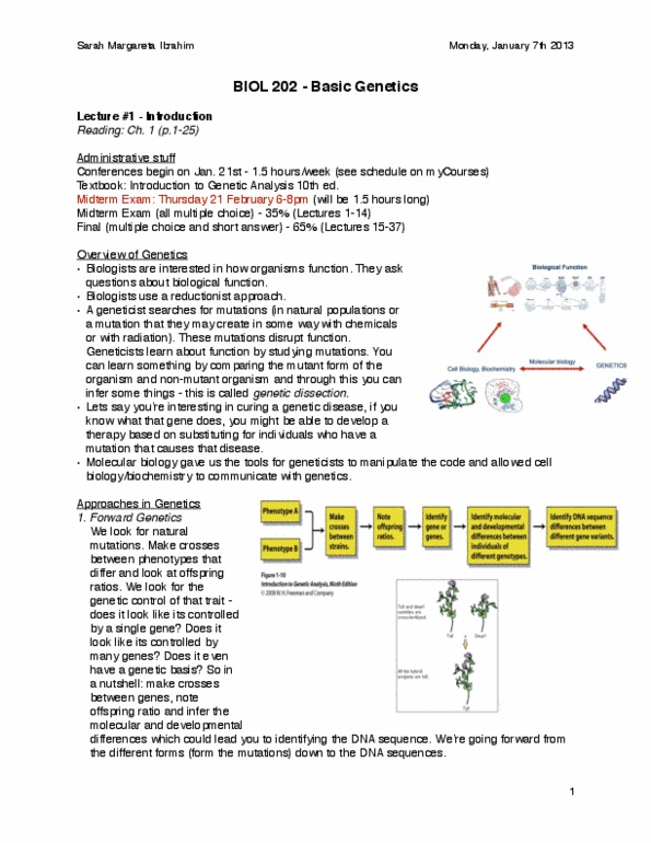 BIOL 202 Lecture Notes - Reductionism, International Hapmap Project, Haplotype thumbnail