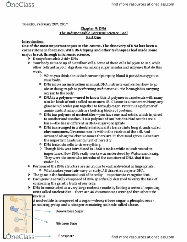 NATS 1575 Lecture Notes - Lecture 9: Lists Of Landmark Court Decisions, Valine, Blood Test thumbnail