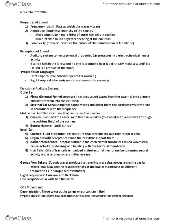 NEUR 2200 Lecture Notes - Lecture 14: Aphasia, Hair Cell, Inferior Colliculus thumbnail