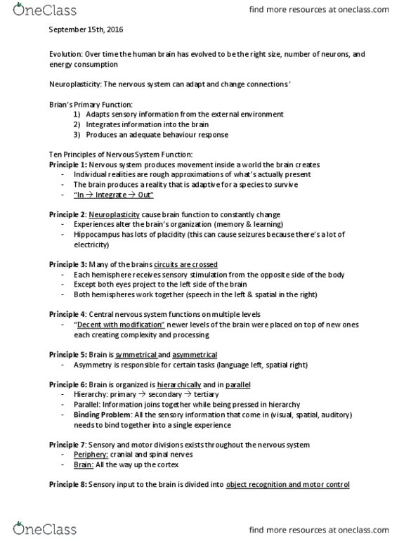 NEUR 2200 Lecture Notes - Lecture 2: System For Information On Grey Literature In Europe, Parietal Lobe, Temporal Lobe thumbnail