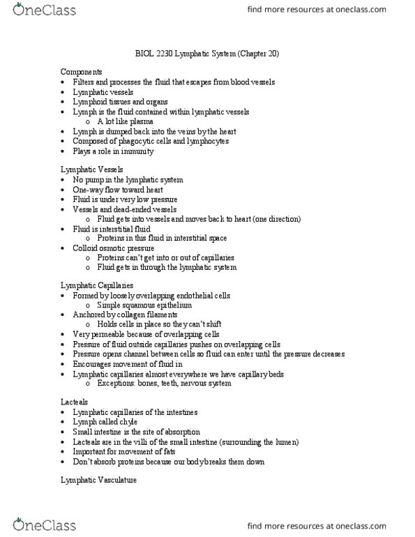 BIOL-2230 Lecture Notes - Lecture 9: Red Pulp, Thymosin, Splenic Artery thumbnail