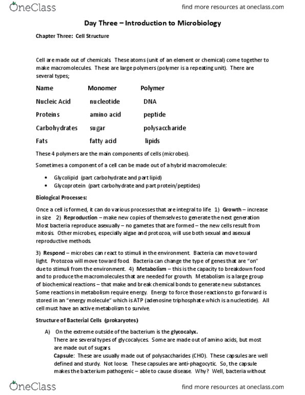 BIOL 1414 Lecture Notes - Lecture 3: Basal Body, Dental Plaque, Spirochaete thumbnail