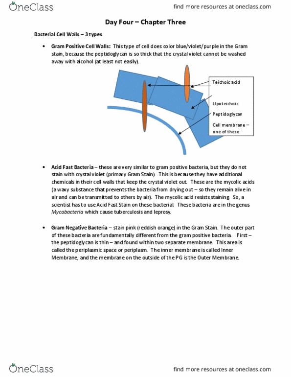 BIOL 1414 Lecture Notes - Lecture 4: Facilitated Diffusion, Active Transport, Hydrophile thumbnail