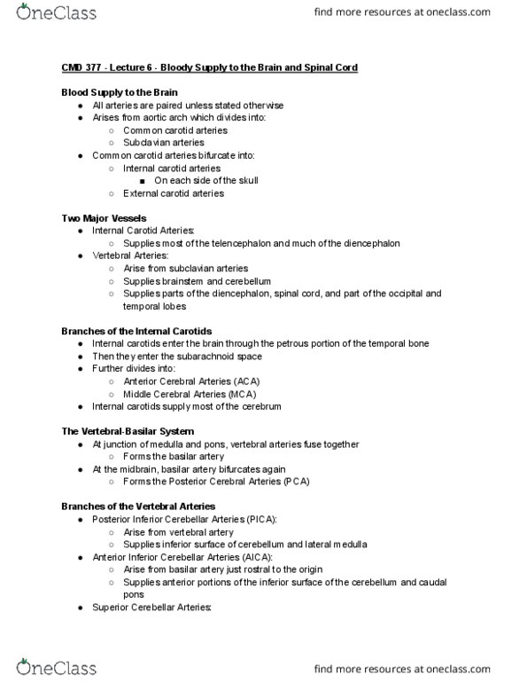 CMD 377 Lecture Notes - Lecture 6: Hemianopsia, Deep Vein, Agraphia thumbnail