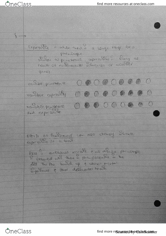 01:447:384 Lecture 15: Expressivity thumbnail