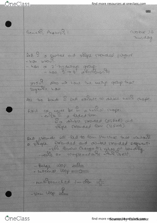 01:447:384 Lecture 11: RNA thumbnail