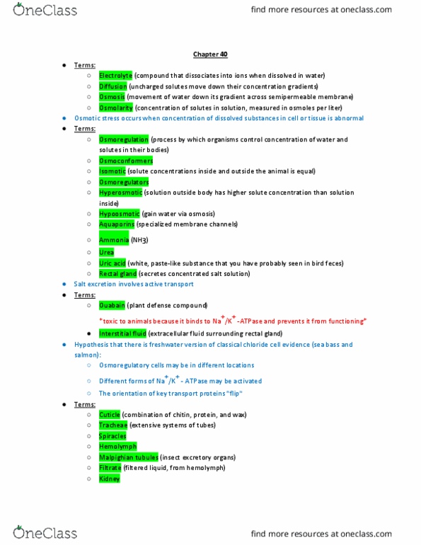 BIOL 150 Chapter Notes - Chapter 40: Reabsorption, Straight Arterioles Of Kidney, Collecting Duct System thumbnail