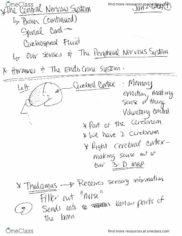 NPB 10 Lecture Notes - Lecture 5: Strn, Uiq thumbnail