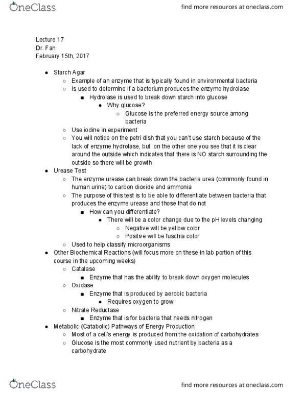 BIO 214 Lecture Notes - Lecture 17: Glycolysis, Anaerobic Respiration, Pentose thumbnail