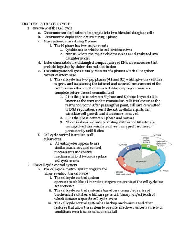 BIO 211 Lecture Notes - Lecture 10: Spindle Checkpoint, Plant Cell, Cell Plate thumbnail