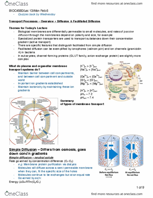 BIOC 4580 Lecture Notes - Lecture 13: Facilitated Diffusion, Electrochemical Gradient, Valinomycin thumbnail