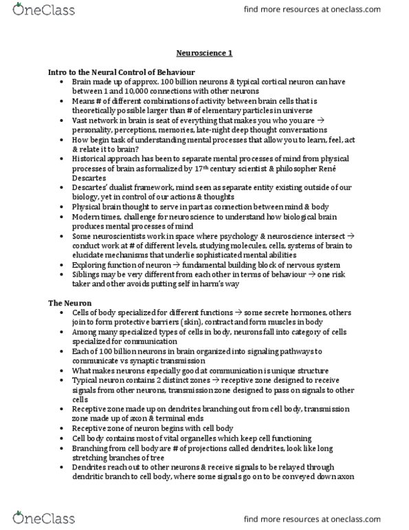 PSYCH 1XX3 Lecture Notes - Lecture 5: Visual Cortex, Neurogenesis, Neural Development thumbnail