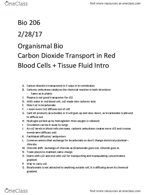 BIOL 206 Lecture Notes - Lecture 24: Osmosis, Skeletal Muscle, Red Blood Cell thumbnail
