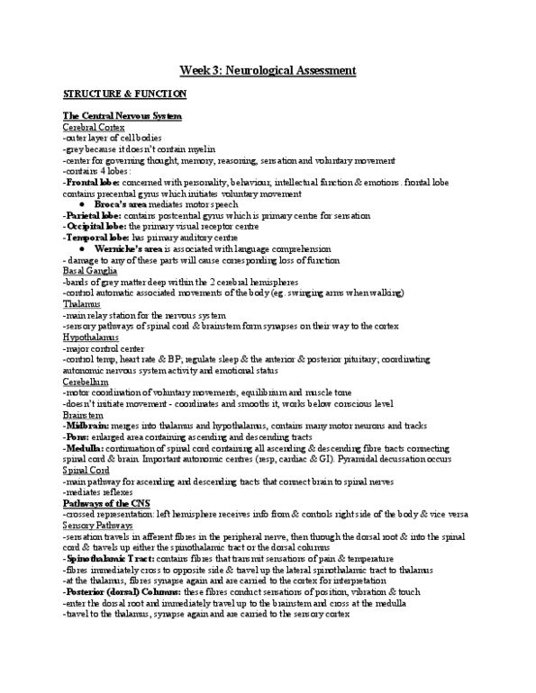 NURSING 1J02 Lecture 3: Week 3: Neurological Assessment thumbnail