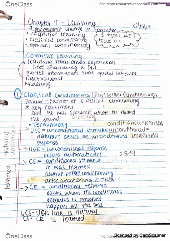 PSYCH 2010 Lecture 6: Learning thumbnail