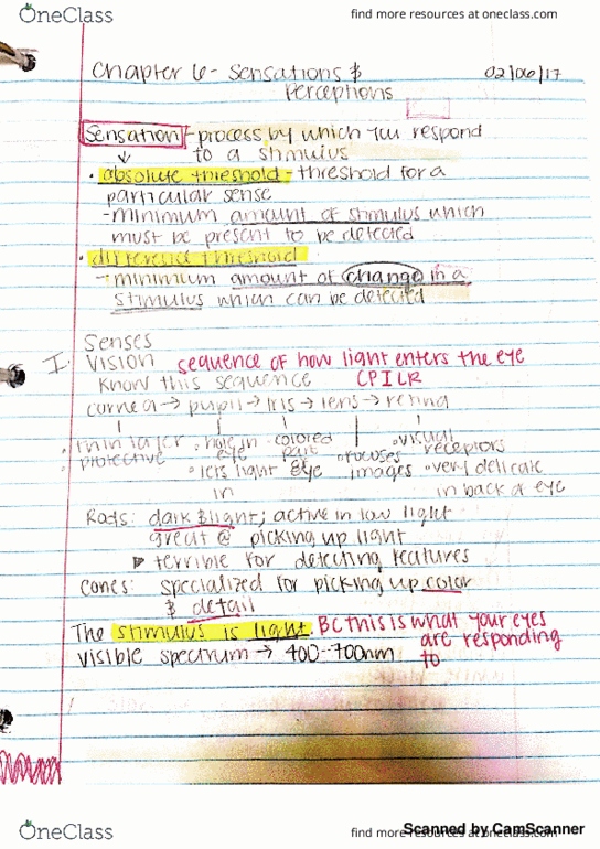 PSYCH 2010 Lecture Notes - Lecture 7: Color Blindness thumbnail