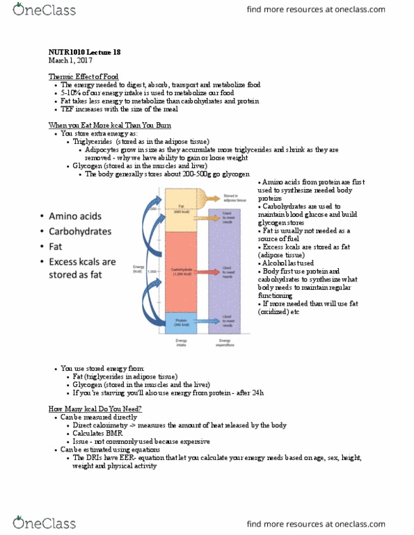 NUTR 1010 Lecture Notes - Lecture 18: Adipose Tissue, Triglyceride, Adipocyte thumbnail