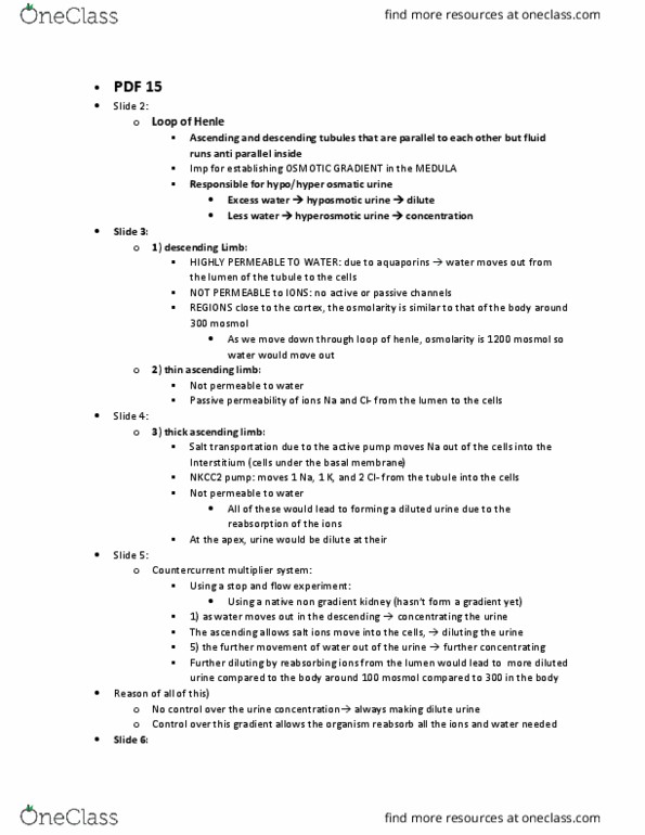 BIOL 3070 Lecture Notes - Lecture 15: Ascending Limb Of Loop Of Henle, Osmotic Concentration, Countercurrent Multiplication thumbnail