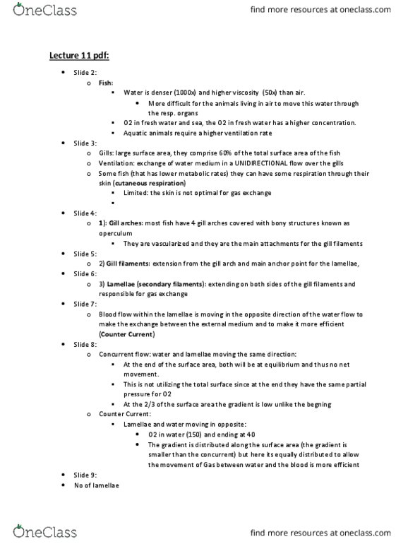 BIOL 3070 Lecture Notes - Lecture 11: Partial Pressure, Viscosity, Trachea thumbnail