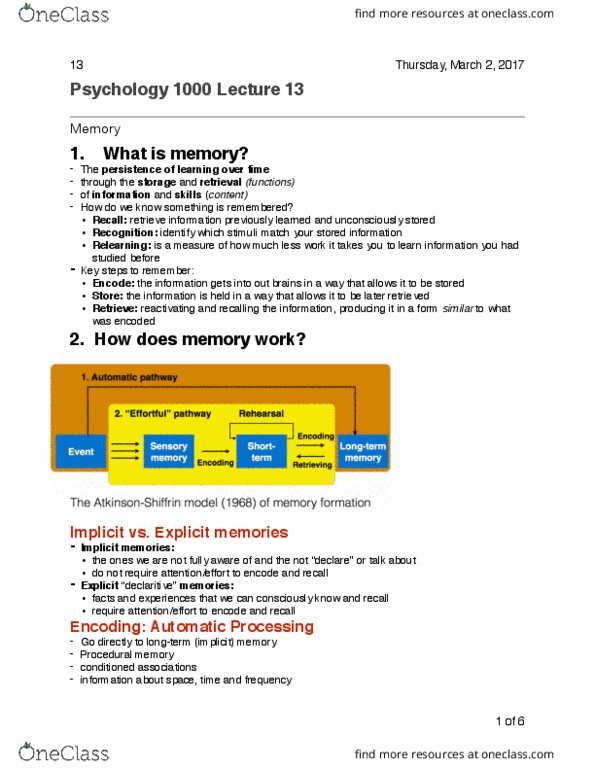 PSYC 1000 Lecture Notes - Lecture 13: Procedural Memory, Thalamus, Sketchpad thumbnail