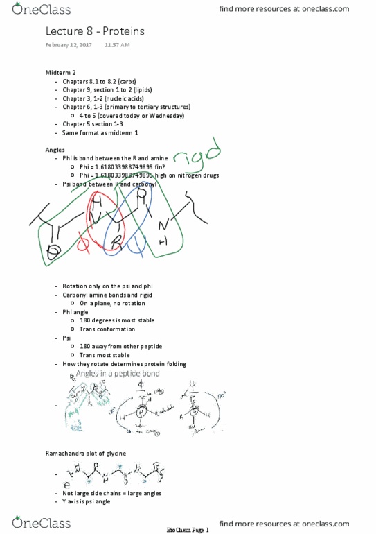BCH 2333 Lecture 8: Lecture 8 - Proteins thumbnail