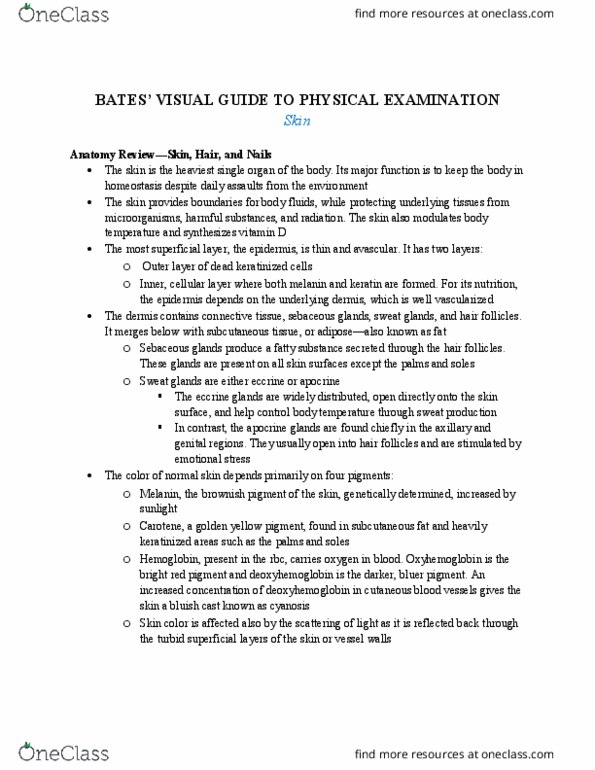 NURS105 Lecture Notes - Lecture 5: Eccrine Sweat Gland, Apocrine, Subcutaneous Tissue thumbnail