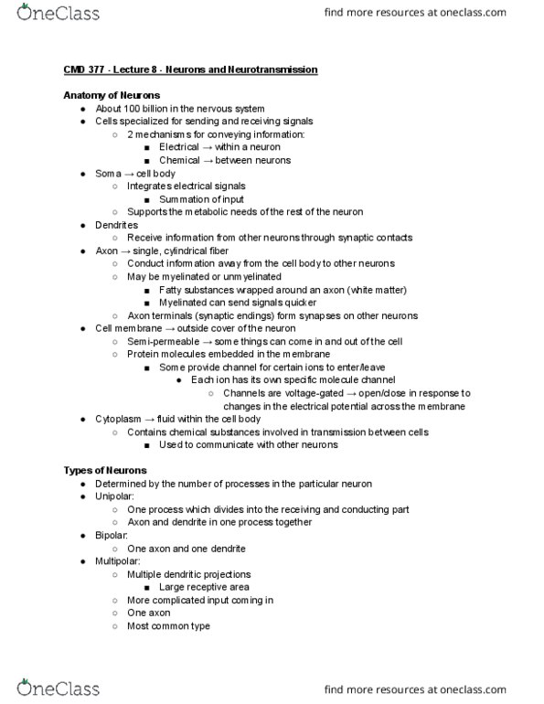 CMD 377 Lecture Notes - Lecture 8: Axon Terminal, Resting Potential, Neurotransmission thumbnail