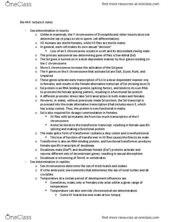 BIOL 443 Lecture Notes - Lecture 7: Sex-Determination System, Splicing Factor, Allosome thumbnail