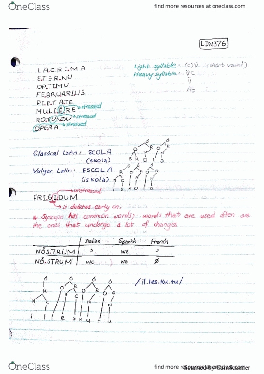 LIN376H5 Lecture 1: Derivation examples thumbnail