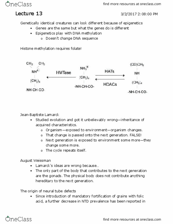 document preview image