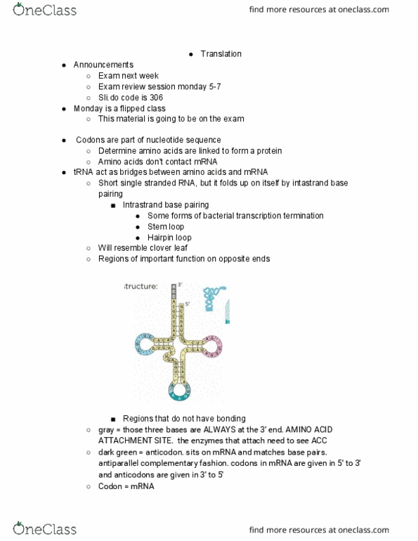 MCB 150 Lecture Notes - Lecture 19: Transfer Rna, Genetic Code, Aminoacyl Trna Synthetase thumbnail
