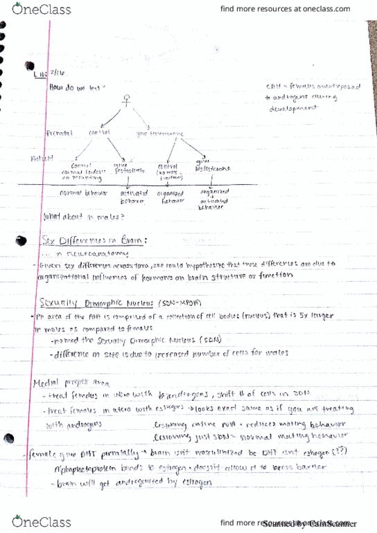 INTEGBI C143B Lecture Notes - Lecture 11: Enzyme, Organization Of Ukrainian Nationalists, Touch 'N Go thumbnail