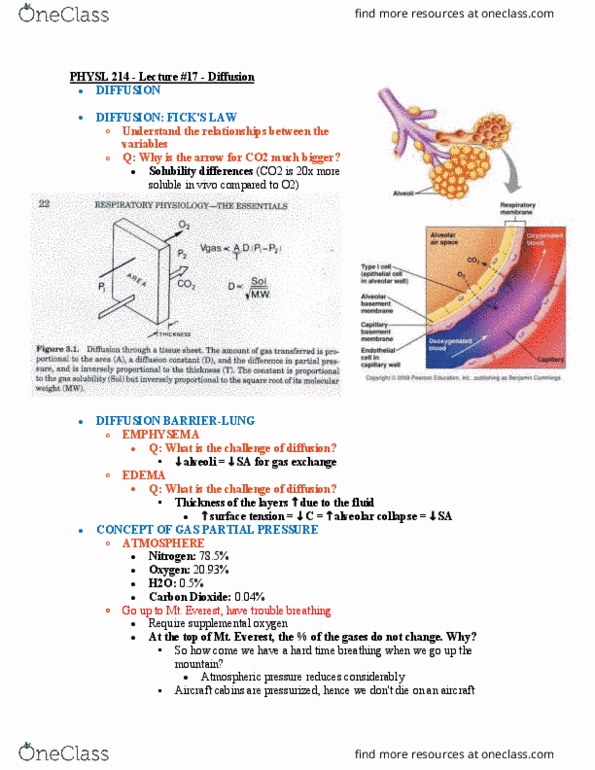 PHYSL214 Lecture Notes - Lecture 17: Pulmonary Shunt, Partial Pressure, Atmospheric Pressure thumbnail