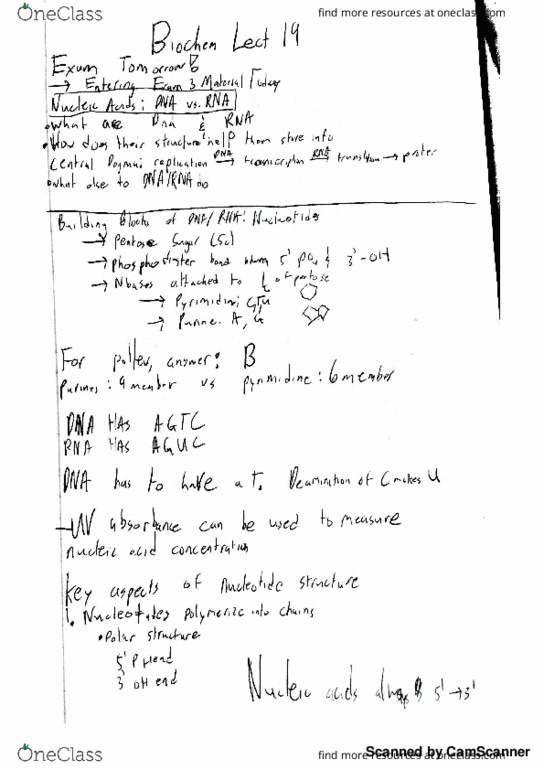 CHEM10122 Lecture 19: Biochem Lecture 19 thumbnail