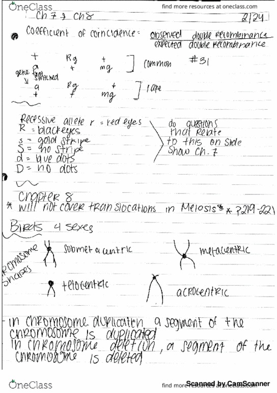 EBIO 2070 Lecture Notes - Lecture 16: Rieti thumbnail