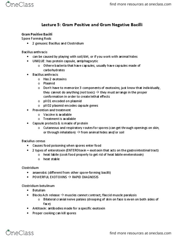 HSS 1100 Lecture Notes - Lecture 5: Exotoxin, Enterotoxin, Endospore thumbnail