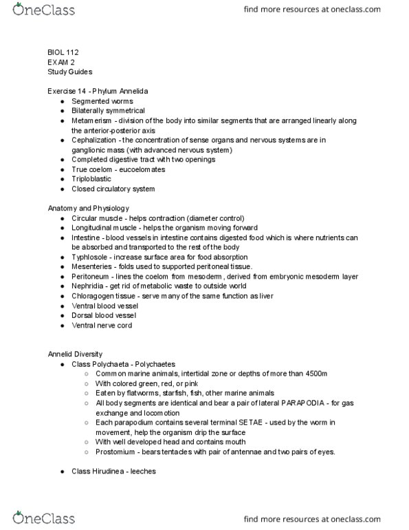 BIOL 112 Chapter Notes - Chapter 14: Ventral Nerve Cord, Intertidal Zone, Parapodium thumbnail