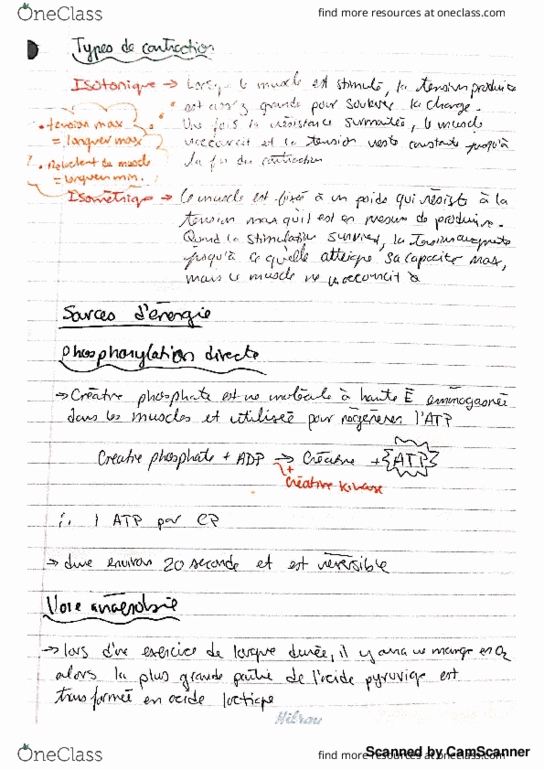 ANP 1505 Lecture 13: Notes 4.3 (diapo 36-fin) thumbnail