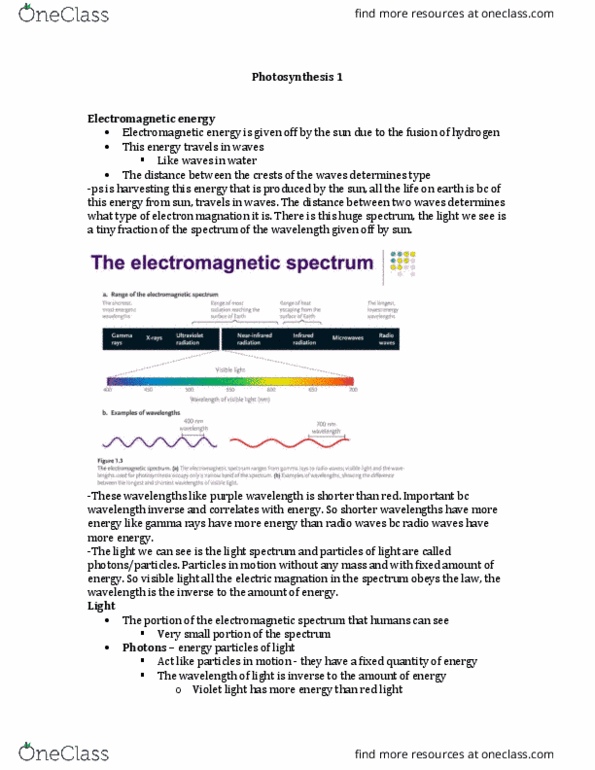 Biology 1001A Lecture Notes - Lecture 5: Electromagnetic Spectrum, Radiant Energy, Photon thumbnail