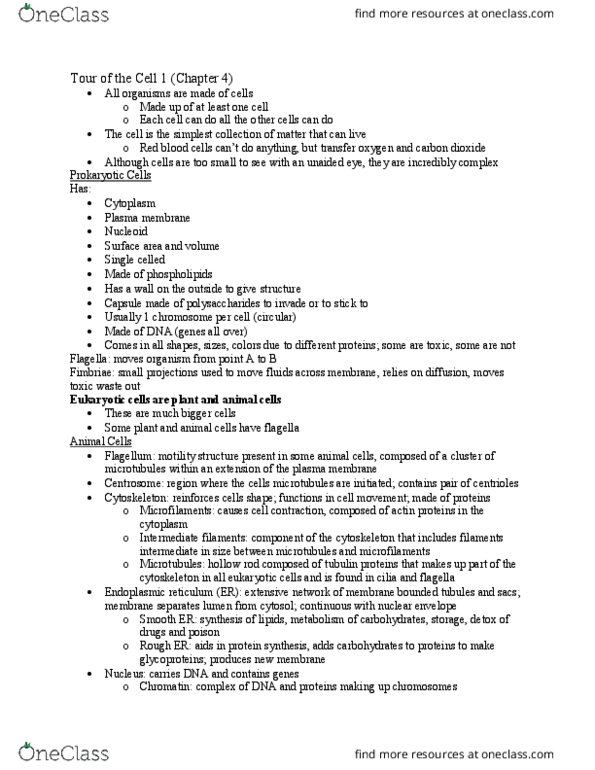 BIO 100 Lecture Notes - Lecture 7: Cell Membrane, Nuclear Membrane, Microtubule thumbnail