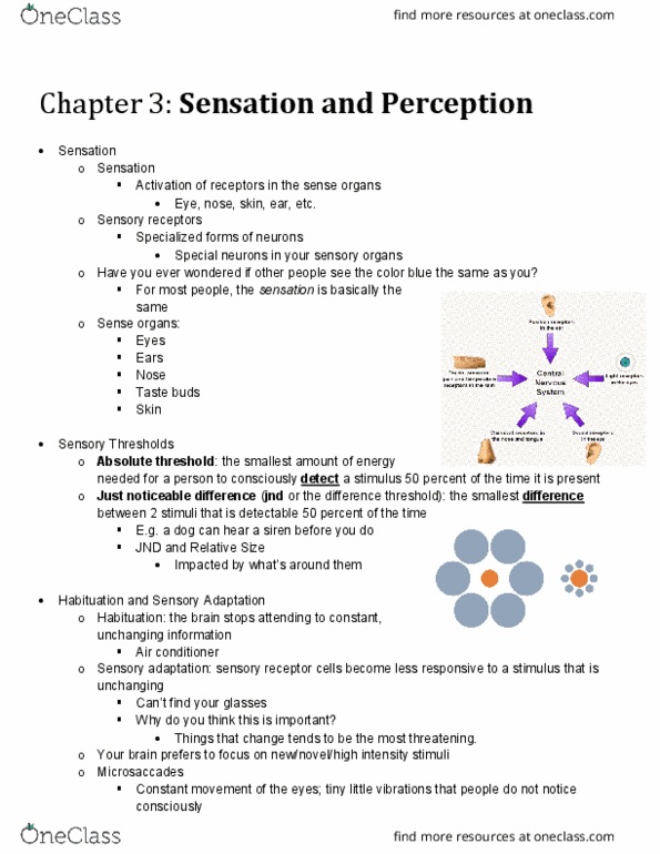 PSYC 2000 Lecture Notes - Lecture 3: Absolute Threshold, Neural Adaptation, Habituation thumbnail
